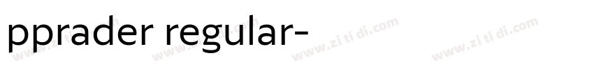 pprader regular字体转换